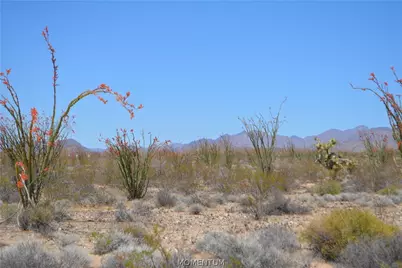 245-24-169 S Red Lake Road, Yucca, AZ 86438 - Photo 1