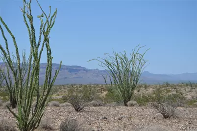 3007 S Alamo Road, Yucca, AZ 86438 - Photo 1