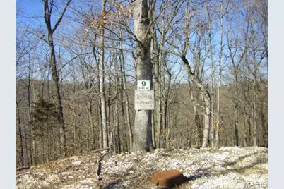 9 Old Logging Road #9, Eureka, MO 63025 - Photo 3