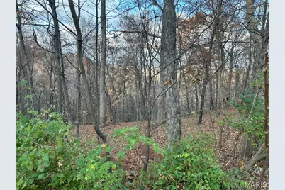 54 The Bluffs Drive #54, Eureka, MO 63025 - Photo 5