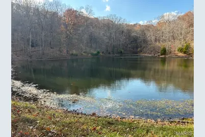 54 The Bluffs Drive #54, Eureka, MO 63025 - Photo 7