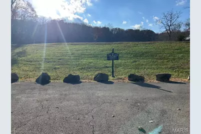 60 The Bluffs Drive #60, Eureka, MO 63025 - Photo 3