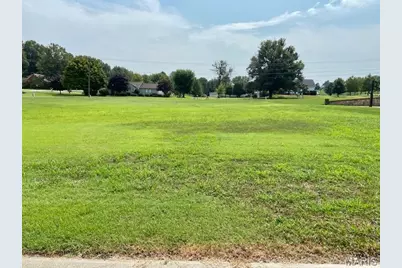 0 Chandler Lane, Dexter, MO 63841 - Photo 1