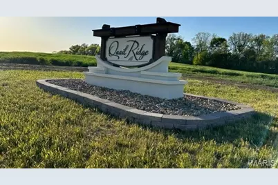 1024 Quail Grove Circle (Lot 16), O'Fallon, MO 63366 - Photo 3