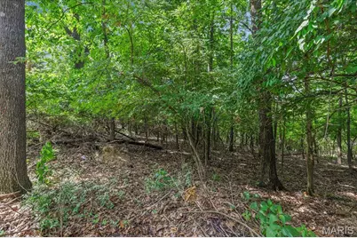 1185 Scheel Lane, Fenton, MO 63026 - Photo 5