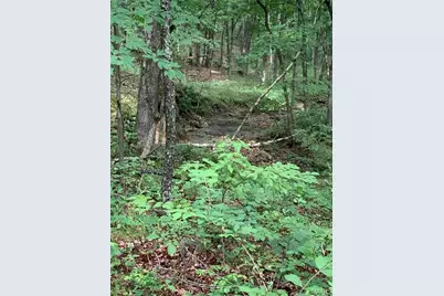 0 Lot 62.01 Acres, Hillsboro, MO 63050 - Photo 7