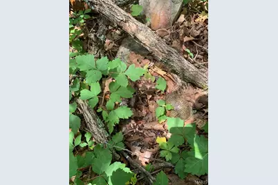 0 Lot 62.01 Acres, Hillsboro, MO 63050 - Photo 45