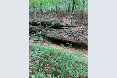 0 Lot 62.01 Acres, Hillsboro, MO 63050 - Photo 21