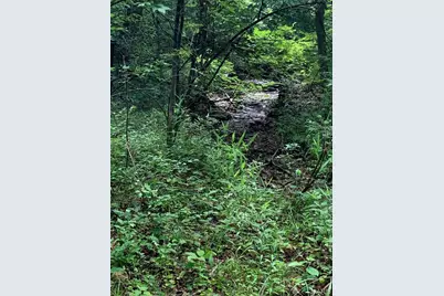 0 Lot 62.01 Acres, Hillsboro, MO 63050 - Photo 5