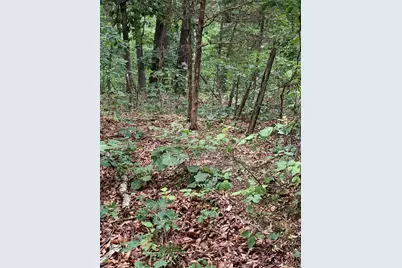 0 Lot 62.01 Acres, Hillsboro, MO 63050 - Photo 25