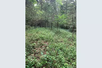 0 Lot 62.01 Acres, Hillsboro, MO 63050 - Photo 3