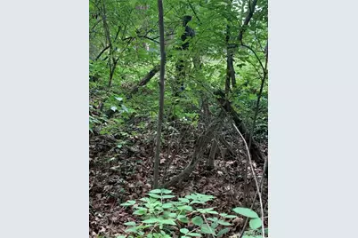 0 Lot 62.01 Acres, Hillsboro, MO 63050 - Photo 11