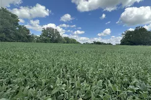 0 S 3rd St, Troy, MO 63379 - Photo 5