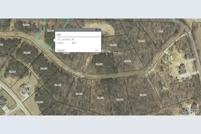 (Lot #41) Scarlet Oak Loop, Villa Ridge, MO 63089 - Photo 9
