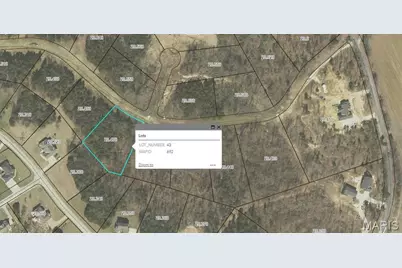 (Lot #43) Scarlet Oak Loop, Villa Ridge, MO 63089 - Photo 9