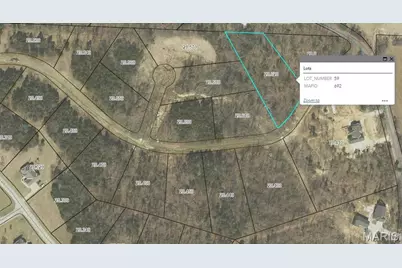 (Lot 59) Scarlet Oak Loop, Villa Ridge, MO 63089 - Photo 9