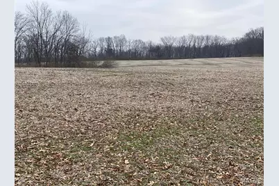 30 Elm Tree Road, Moscow Mills, MO 63362 - Photo 1