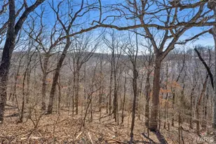 0 Wooded Acres Pt Lot 19, Barnhart, MO 63012 - Photo 7