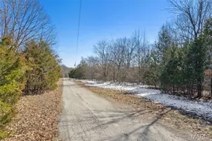 0 Wooded Acres Pt Lot 19, Barnhart, MO 63012 - Photo 11