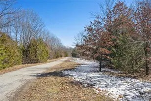 0 Wooded Acres Pt Lot 19, Barnhart, MO 63012 - Photo 5