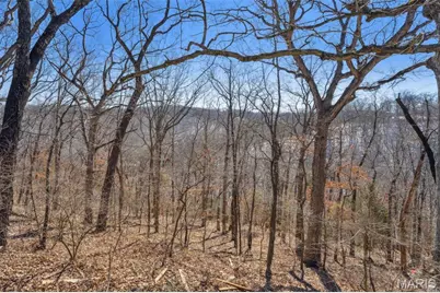 0 Wooded Acres Pt Lot 19, Barnhart, MO 63012 - Photo 7