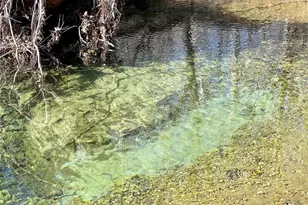 2268 Madison 244, Fredericktown, MO 63645 - Photo 37