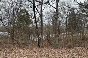 0 Section 5 Lots 10 & 11, De Soto, MO 63020 - Photo 1