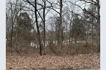 0 Section 5 Lots 10 & 11, De Soto, MO 63020 - Photo 3