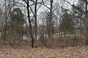 0 Section 5 Lots 10 & 11, De Soto, MO 63020 - Photo 3