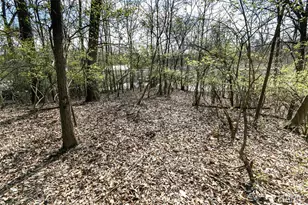 740 Forest Ave, Valley Park, MO 63088 - Photo 1