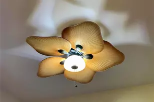 24613 Shady Oak Pl, Perry, MO 63462 - Photo 29