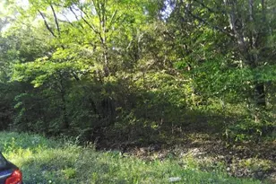 0 Lot 3-4 Terri Hill Dr, Cedar Hill, MO 63016 - Photo 1