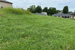 3552 Mill View Crossing Way, Cape Girardeau, MO 63701 - Photo 5