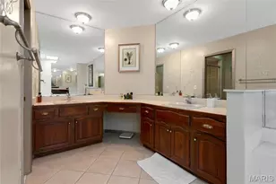 14260 Cedar Springs Dr, Town and Country, MO 63017 - Photo 17