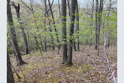 18244 Buckboard, Wildwood, MO 63069 - Photo 3