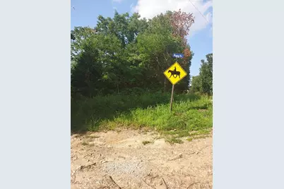 0 Alpine Road, Grubville, MO 63041 - Photo 3