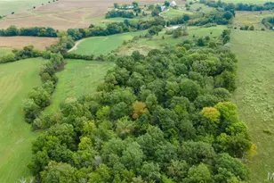 335 W Spring Valley Rd, Jackson, MO 63755 - Photo 15