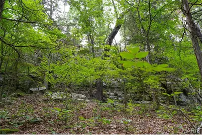 28 Acres Hwy 100, Hermann, MO 65041 - Photo 7