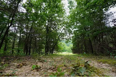 28 Acres Hwy 100, Hermann, MO 65041 - Photo 9