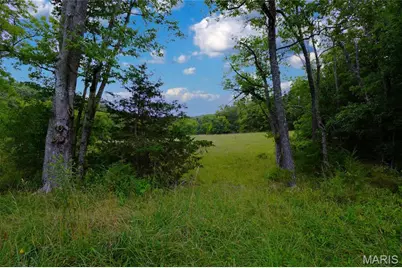 28 Acres Hwy 100, Hermann, MO 65041 - Photo 11