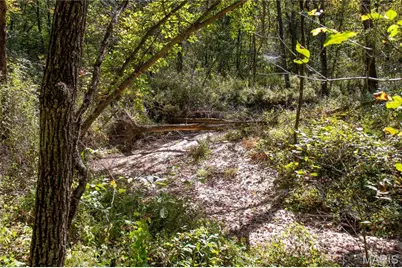 27234 Highway Z, Stanton, MO 63435 - Photo 81