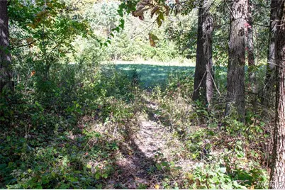 27234 Highway Z, Stanton, MO 63435 - Photo 95