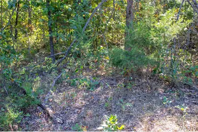 27234 Highway Z, Stanton, MO 63435 - Photo 89