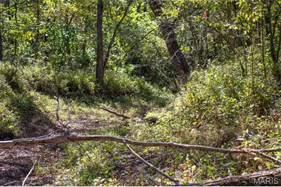 27234 Highway Z, Stanton, MO 63435 - Photo 83