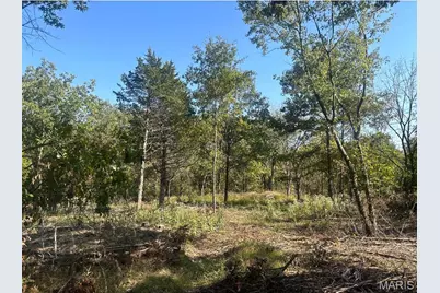 0 Lot #31 Fawn Hollow Court, Foristell, MO 63348 - Photo 3
