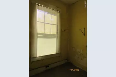 1101 S Carolina Street, Louisiana, MO 63353 - Photo 23