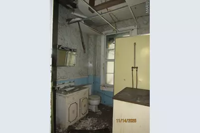 1101 S Carolina Street, Louisiana, MO 63353 - Photo 35