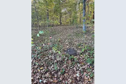 0 Scout Camp Rd, Greendale, MO 63648 - Photo 7