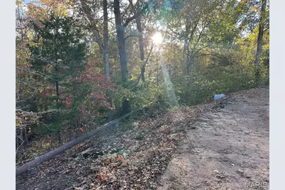 0 Scout Camp Rd, Greendale, MO 63648 - Photo 5