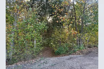 0 Scout Camp Rd, Greendale, MO 63648 - Photo 3